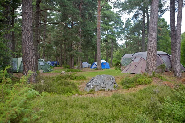 Rothiemurchus Camp and Caravan Park in Aviemore